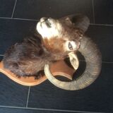 Sheep trophy
