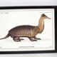Set of 2 framed chimera lithography animal engraving