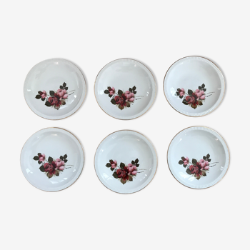 Set of 6 hollow plates Sarreguemines décor Richemond
