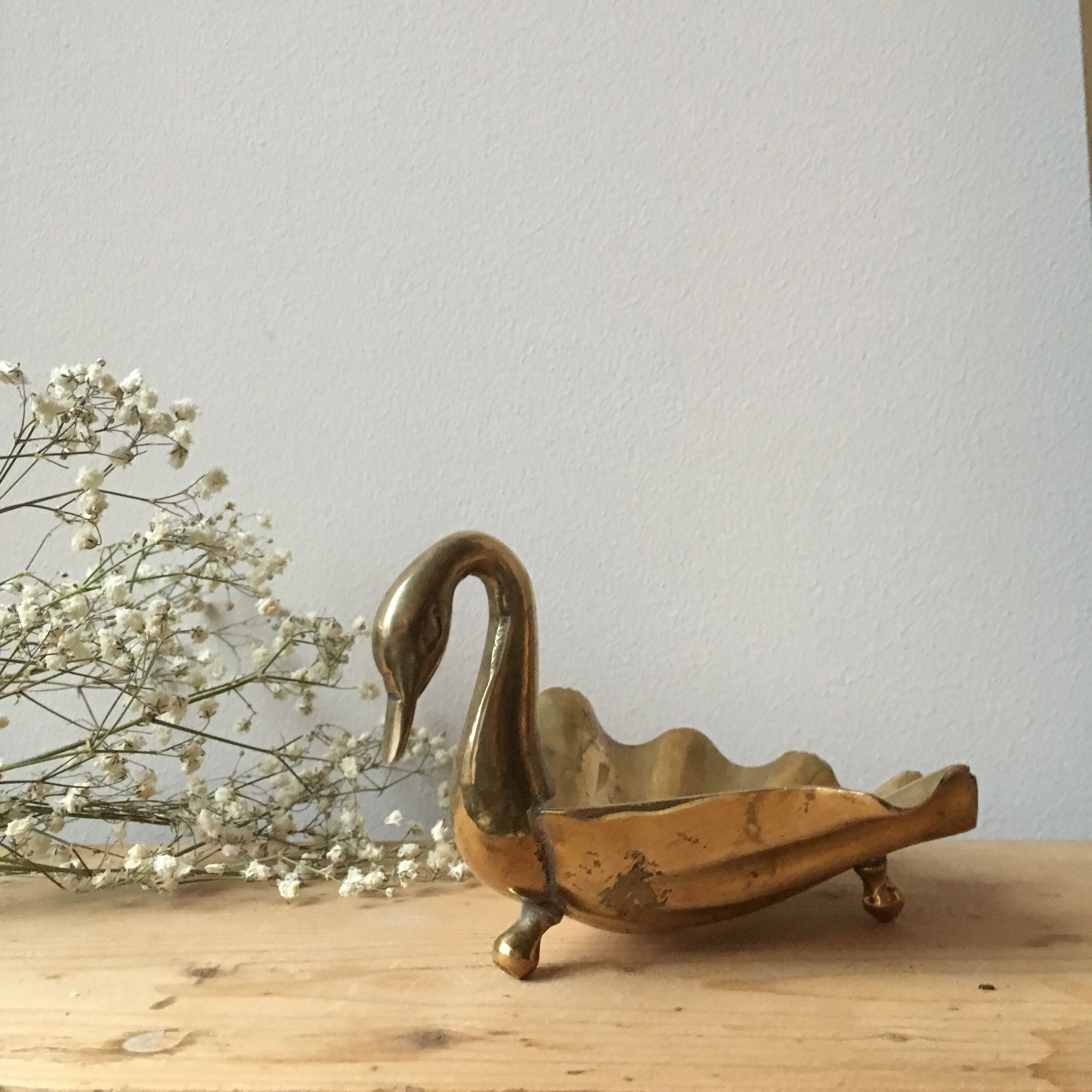 Empty Pocket Swan brass on foot