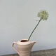 Saint Amand pitcher in powder pink ceramic