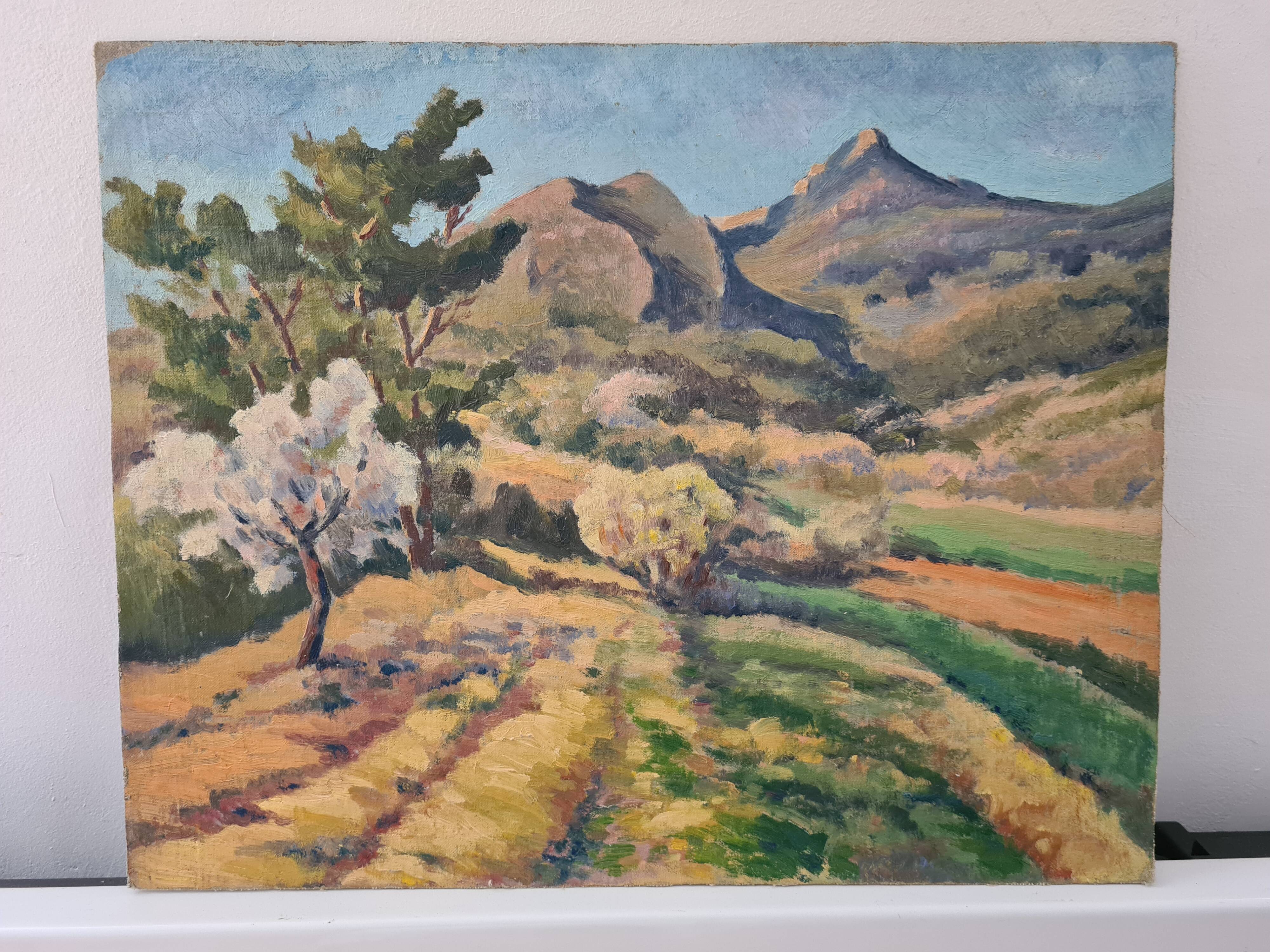 Le Garlaban - Oil on panel - 1951
