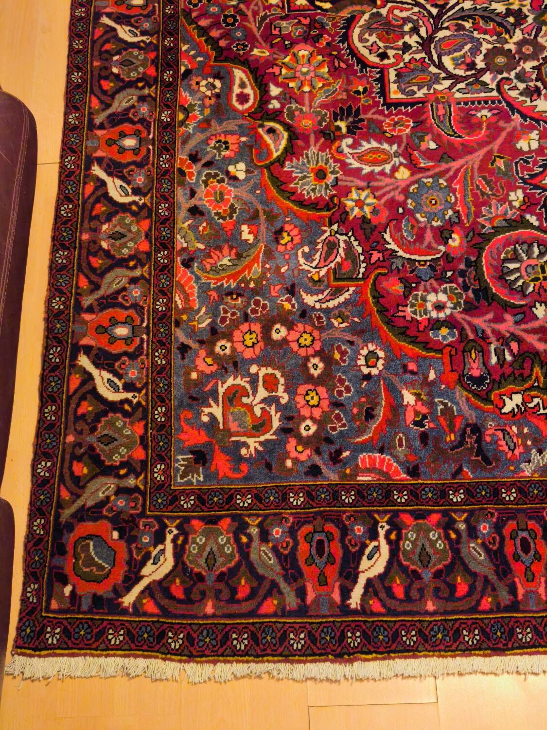 Hand-knotted Bakhtiari Persian carpet from Iran.