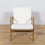 Mid-Century Model 300-139 Armchair from Swarzędzka Factory, 1960s