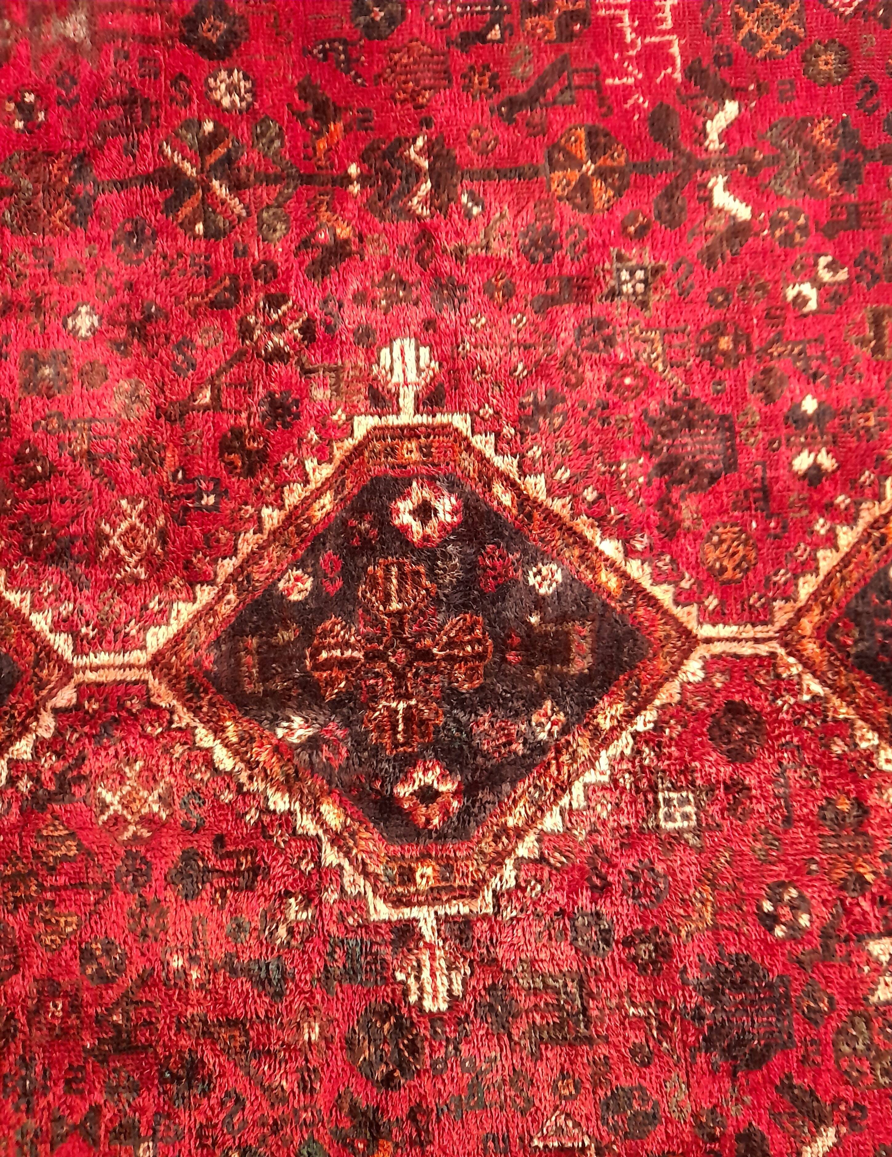Shiraz carpet 295x215cm
