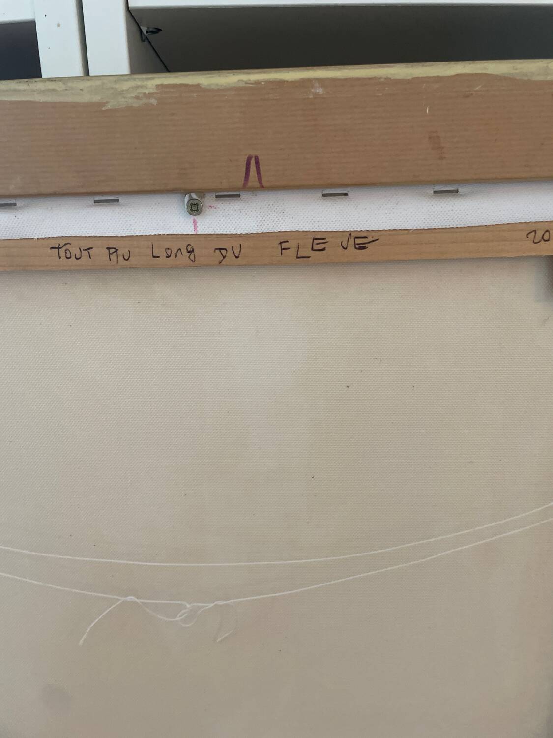 Acrylic on canvas and collage