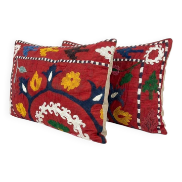 Lot de 2 housses de coussin brodées vintage 41x61 cm