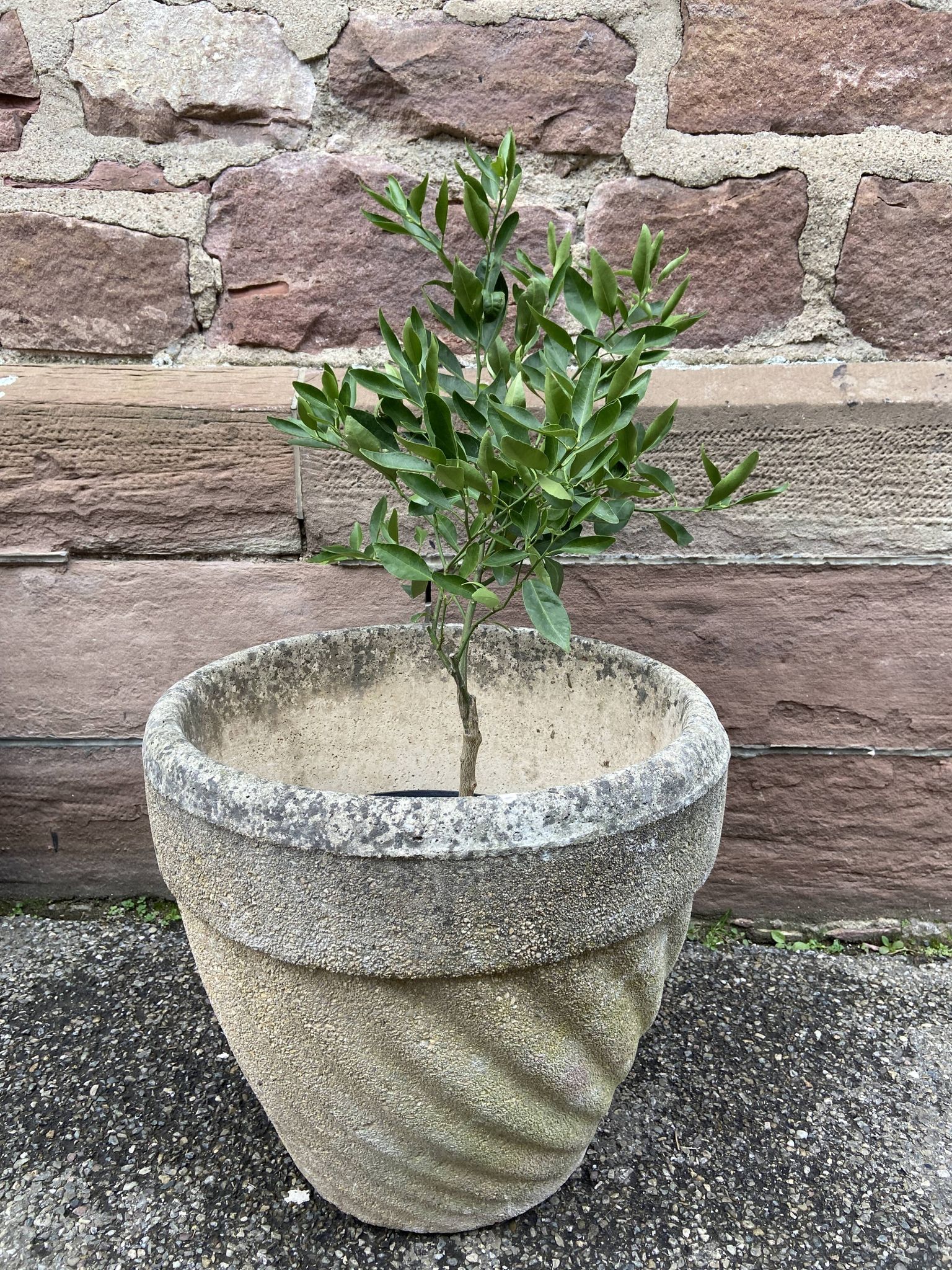 Reconstituted stone planter