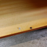 Vintage buffet by Cees Braakman for Pastoe 1960s