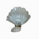 Applique coquille Murano vintage