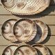 Fish service Sarreguemines
