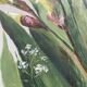 Old oil painting on paper – Bouquet of irises – Framed