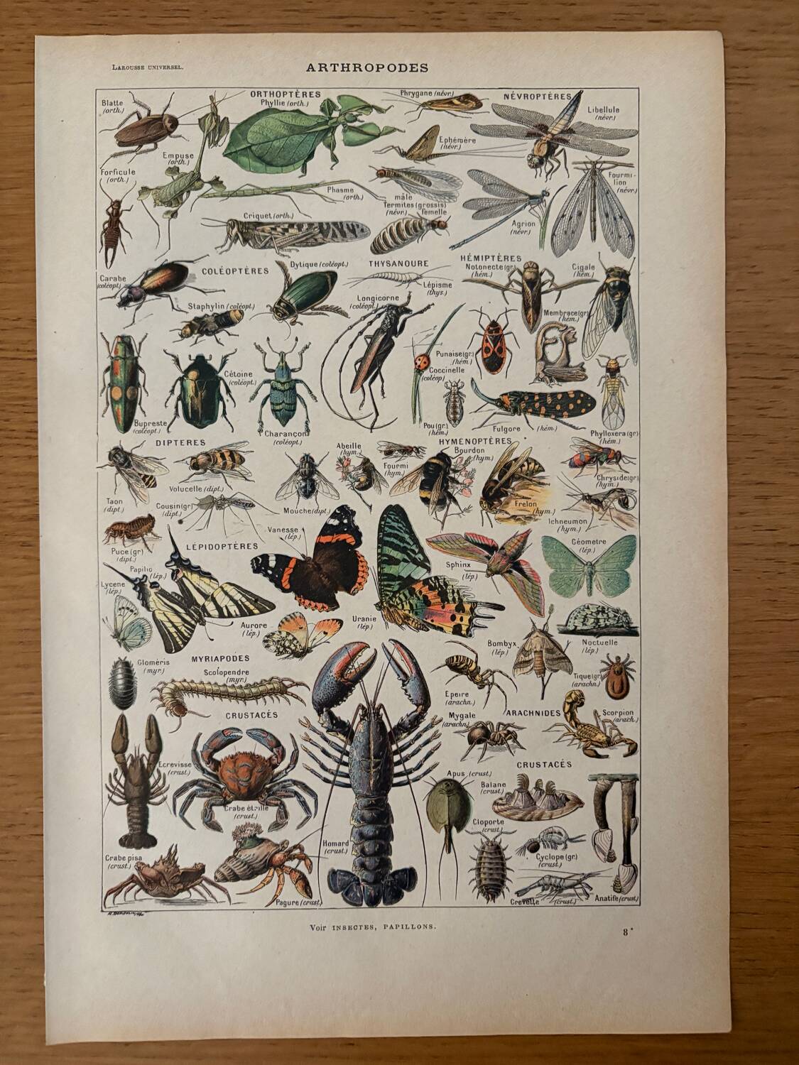 Reserved Marine - Set of 3 lithographs on the marine world XX