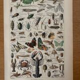 Reserved Marine - Set of 3 lithographs on the marine world XX
