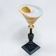 Ancient Troca Trochus shell in mother-of-pearl on a wooden base curiosities