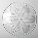 Kosta Boda Glass Clear Platter: Vintage Leaf Design by Wärff / 1975
