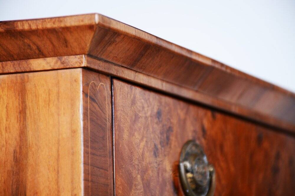 Biedermeier Cabinet in Walnut, Czech, 1840s