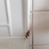 Porte ustensiles émaillé et sa louche