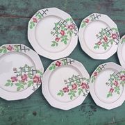 Iron earth dessert plates