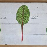 Tableau