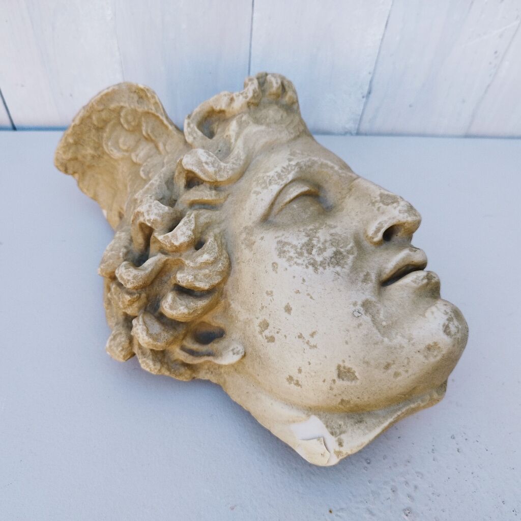 Profile of Apollo cast from the Louvre Museum