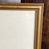 Botanical print, P-J Redouté, Bear's Ears