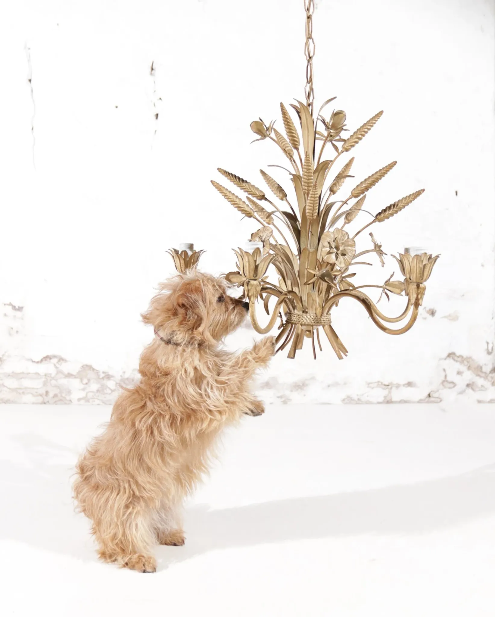 Sheaf of wheat chandelier beige Hans Kögl – Maison Charles style