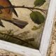 Vintage frame bird painting on a branch