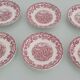 Myotts Country Life Set of 6 Cups and Saucers - England