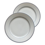 Set of 2 Limoges porcelain plates