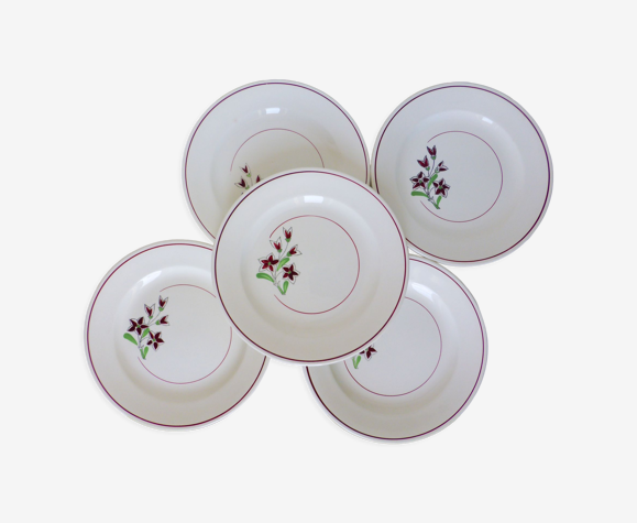 5 assiettes plates de Salins