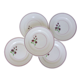 5 flat plates from Salins