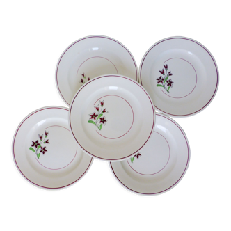 5 assiettes plates de Salins