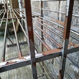 Baker's grid