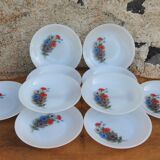 Set of 10 plates flowers of the fields - Arcopal - 70s - Vintage authentic