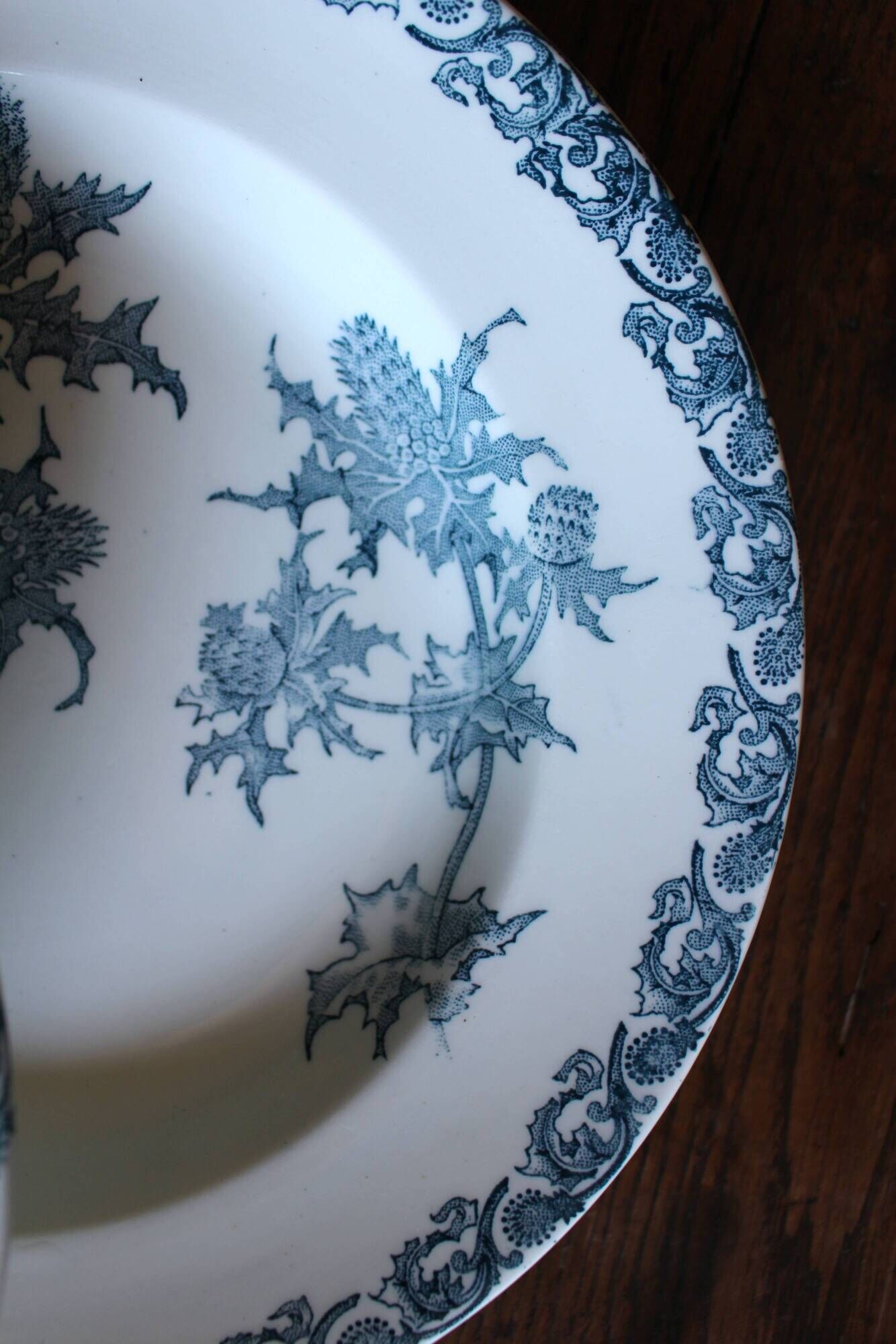 A set of 5 deep plates Chardon Bleu Terre de Fer Clairefontaine Righi