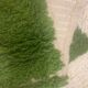 Green fir Berber rug and ecru – Authentic and original artisanal style