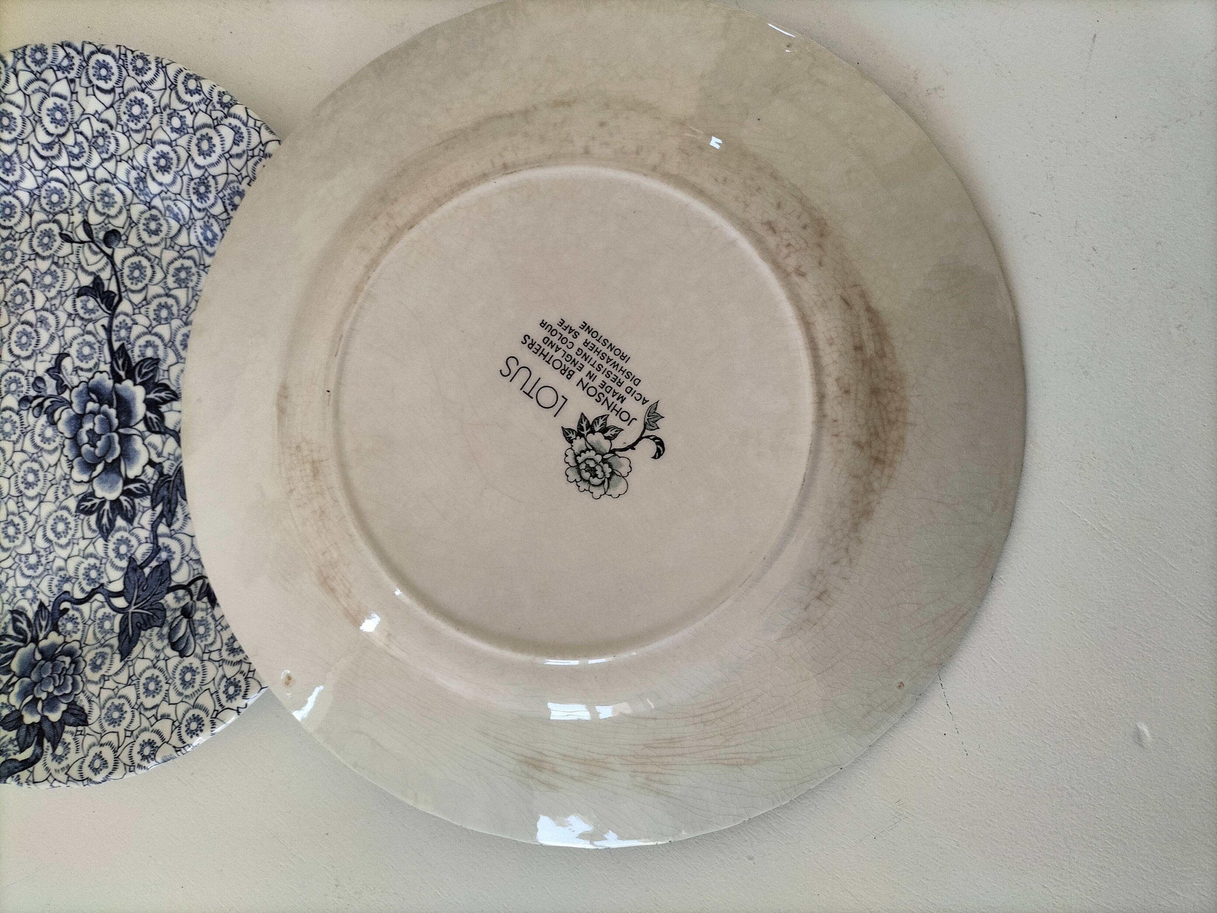 9 Johnson Brothers plates in the Lotus pattern.