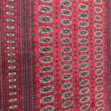 Nice vintage Bukhara of Pakistan carpet handmade 158 X 234 CM