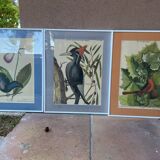 Frames