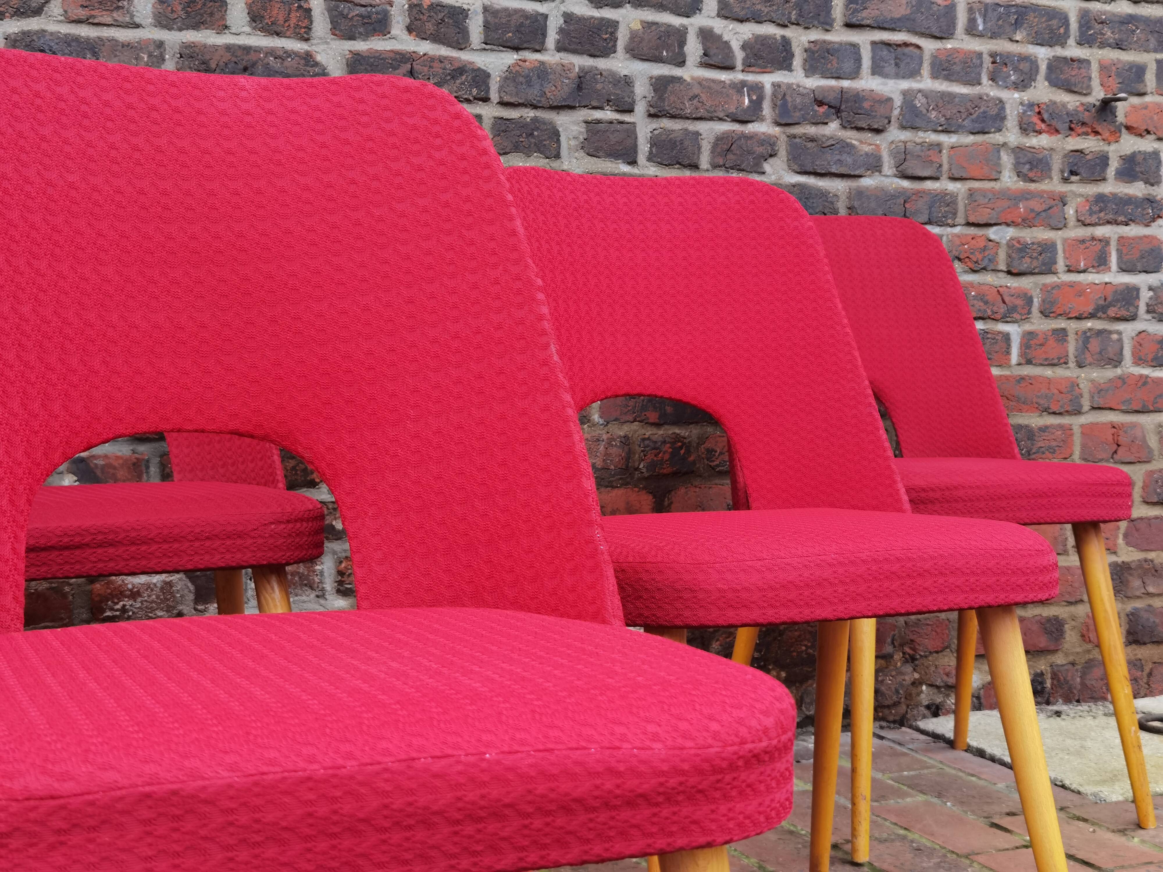 Lot of 6 Oswald Haerdtl chairs for Ton