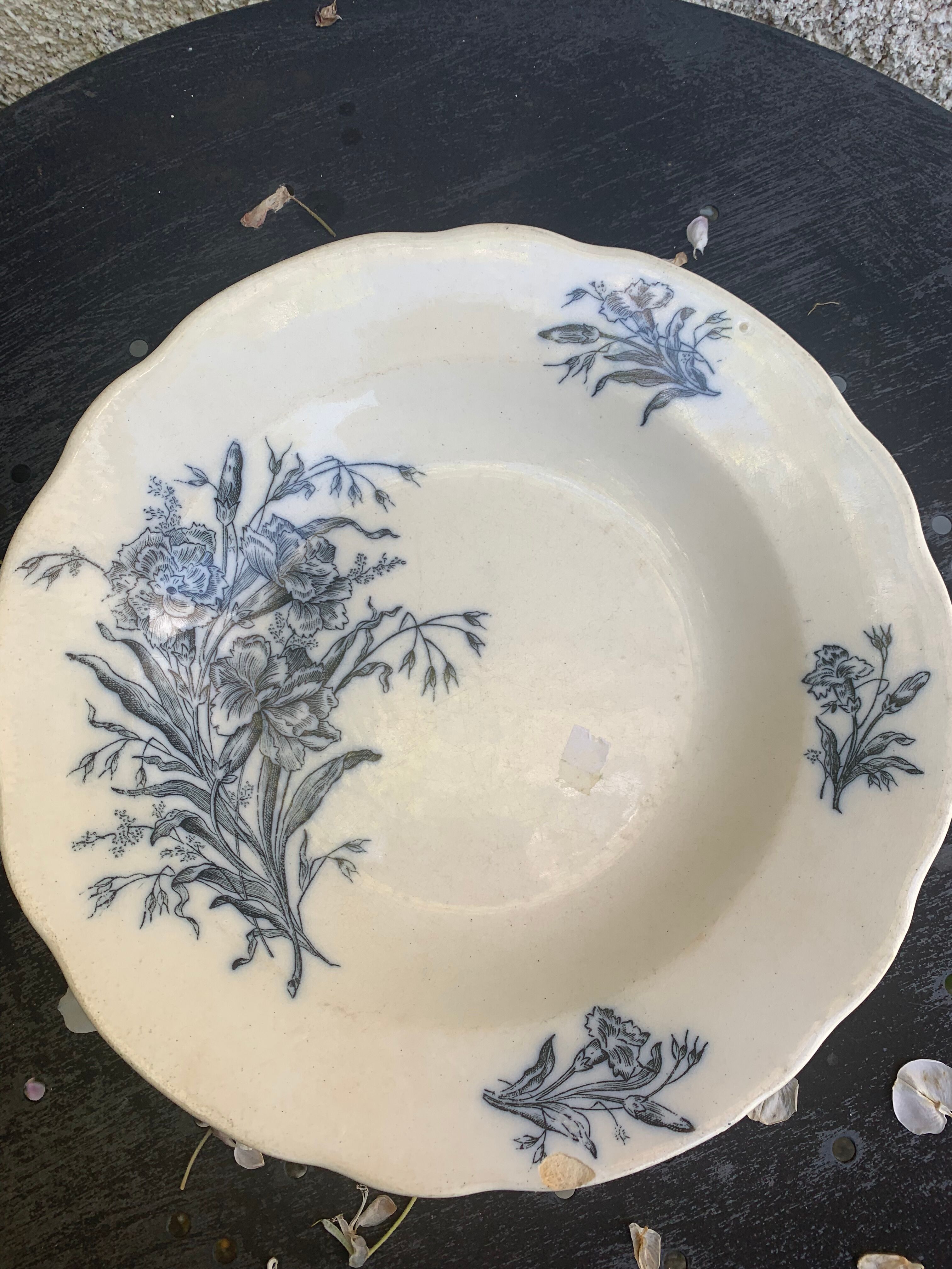 Hollow plate, fruit cup pattern carnations badonviller