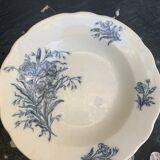 Hollow plate, fruit cup pattern carnations badonviller