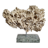 Antique White Coral on Grey Marble Base, 21 cm
