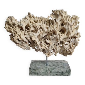 Antique White Coral on Grey Marble Base, 21 cm