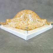 Pair of Murano Glass Wall Lights by Toni Zuccheri for Mazzega, 1970s
