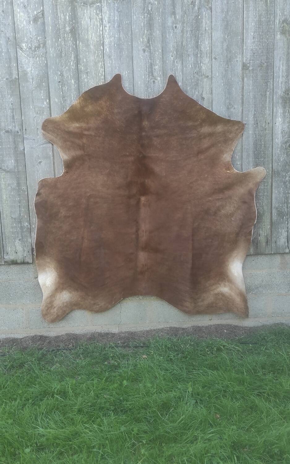 Cowhide XL