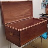 Exotic camphor trunk