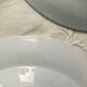 6 Longwy plates model Flowers