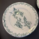 Set of 12 green ironstone flat plates